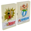 Asterix und Obelix Schreibwaren|Bücher^Asterix oder Obelix Premium Notizbuch