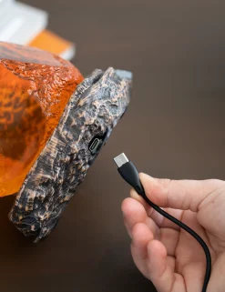 Jurassic Park Licht^Lampe: Bernstein mit Mosquito