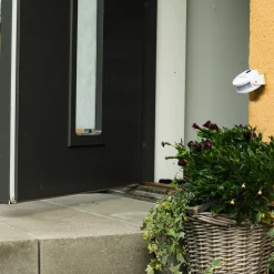 InnovAdvance Draußen^Katzenklingel