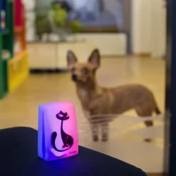 InnovAdvance Draußen^Katzenklingel