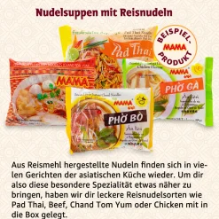ViaMundi Lebensmittel^MAMA Ba Mee - Deine thailändische Nudelbox