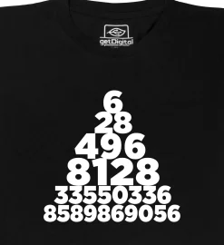 getDigital Wissenschaft^Perfekte Zahlen